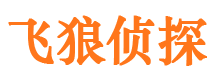 文成寻人公司